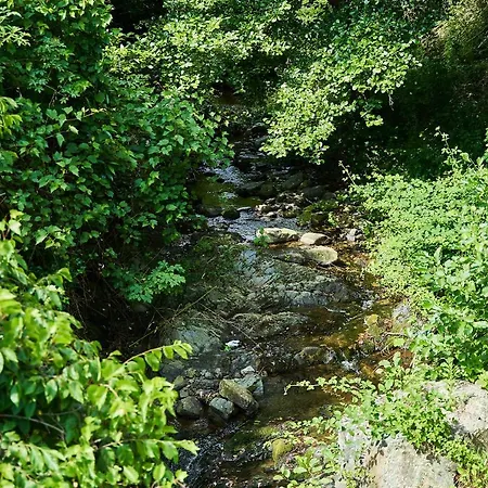 Ca' De Paggia *