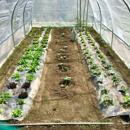 Ca' De Paggia * Savona