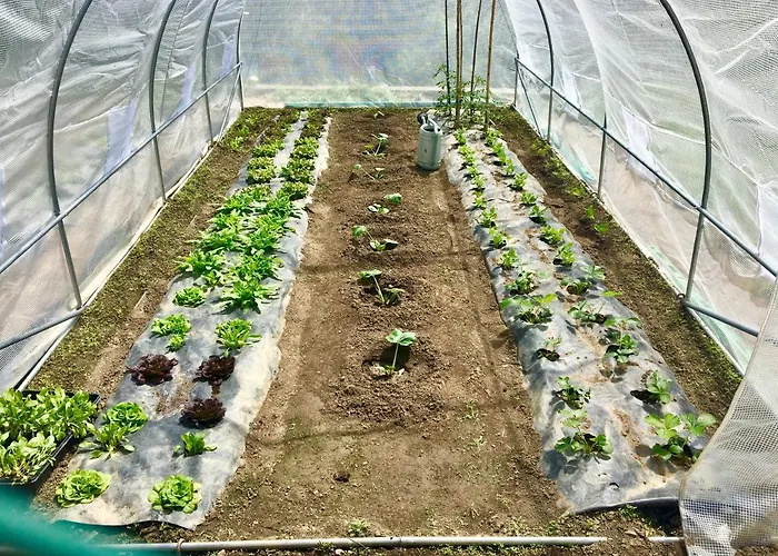 Ca' De Paggia * Savone