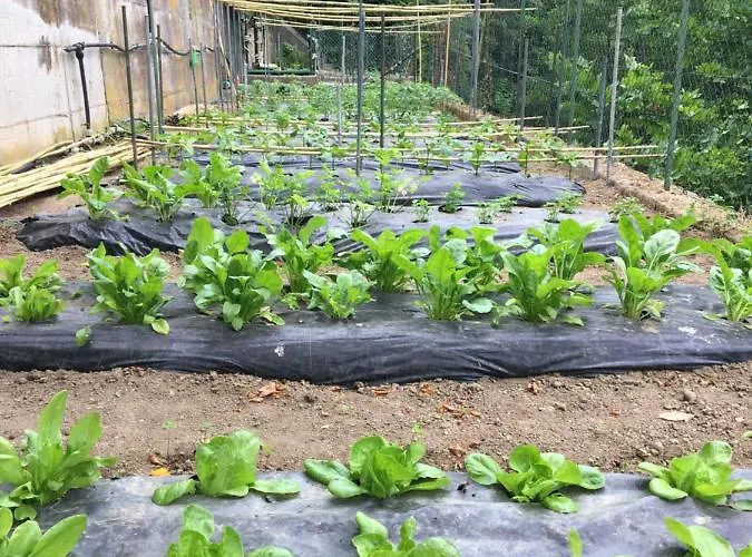 Prázdninový dům Ca' De Paggia