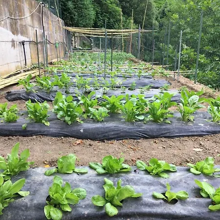 Tatil Evi Ca' De Paggia
